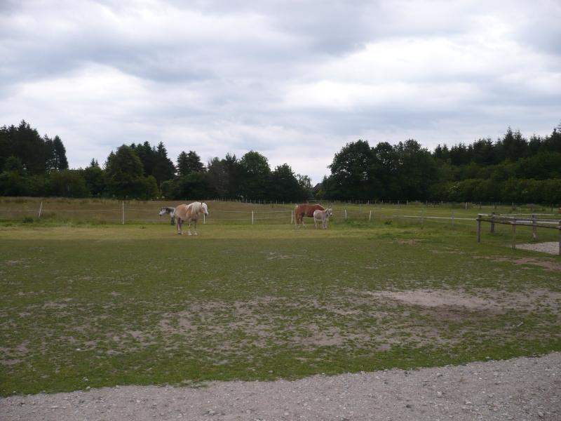 Heuhotel084.jpg