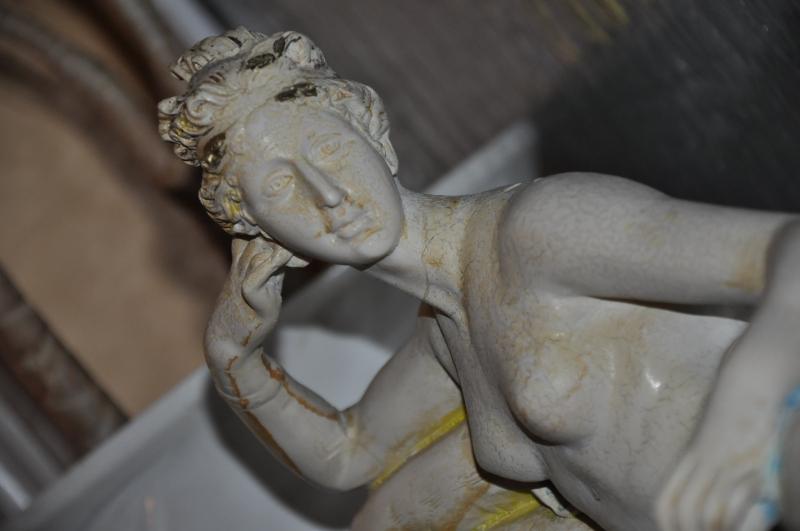 DSC_7779.JPG