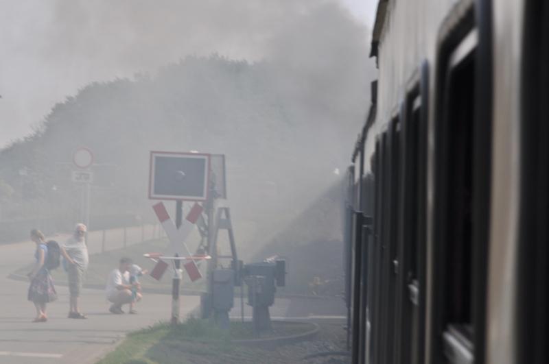 DSC_6667.JPG