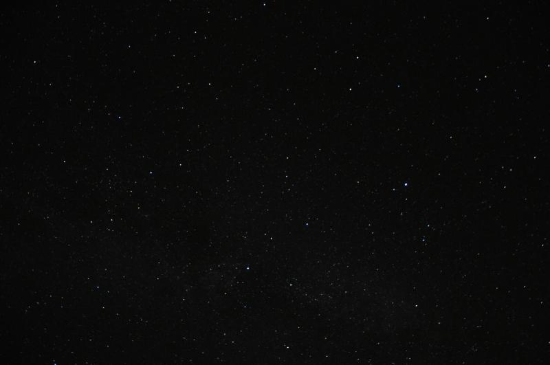 DSC_6847.JPG