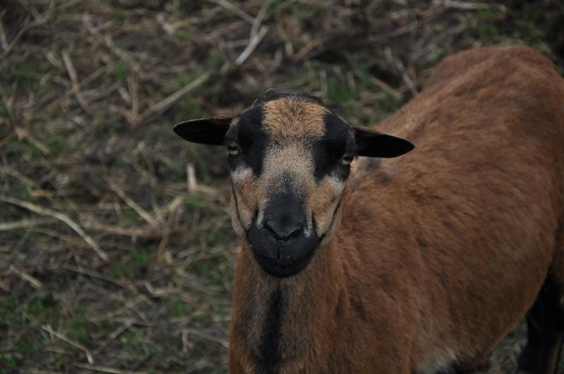 DSC_0302.JPG
